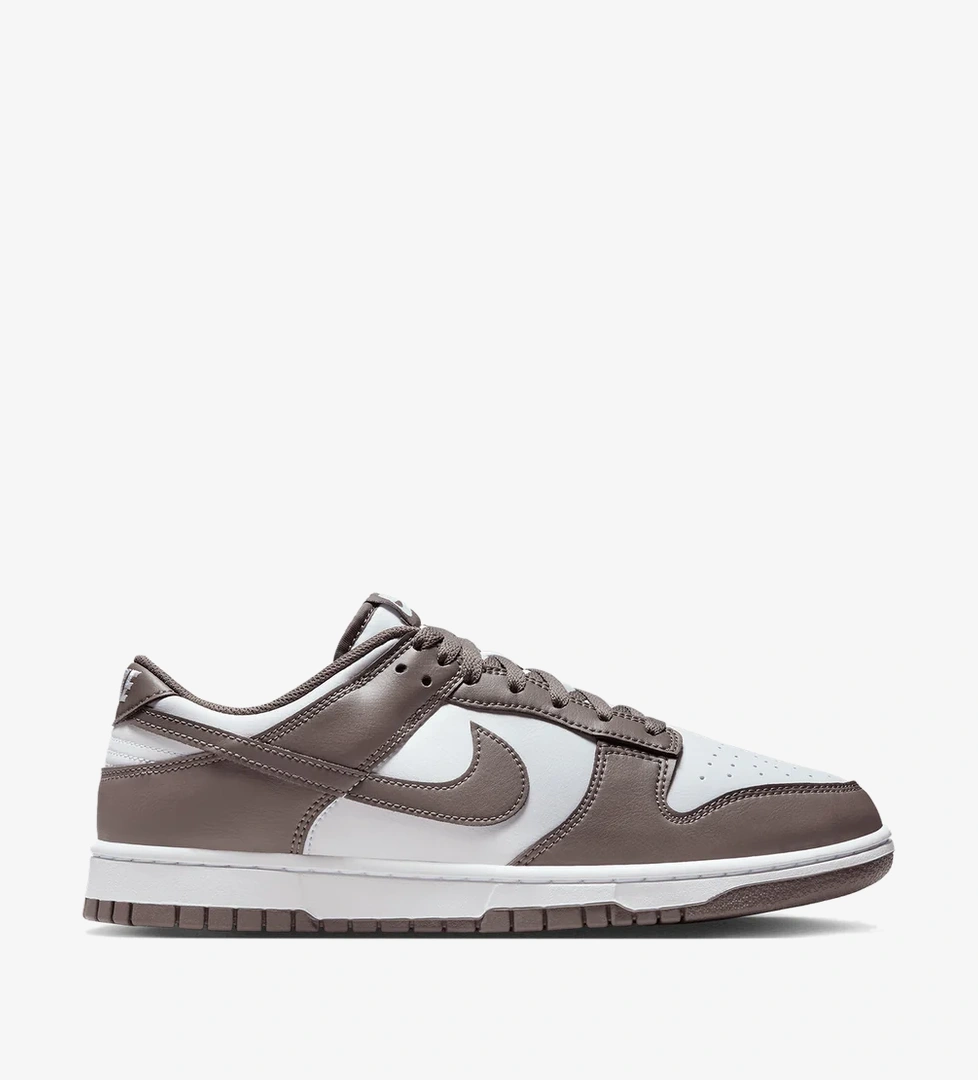 Nike Dunk Low Retro - Görsel 1