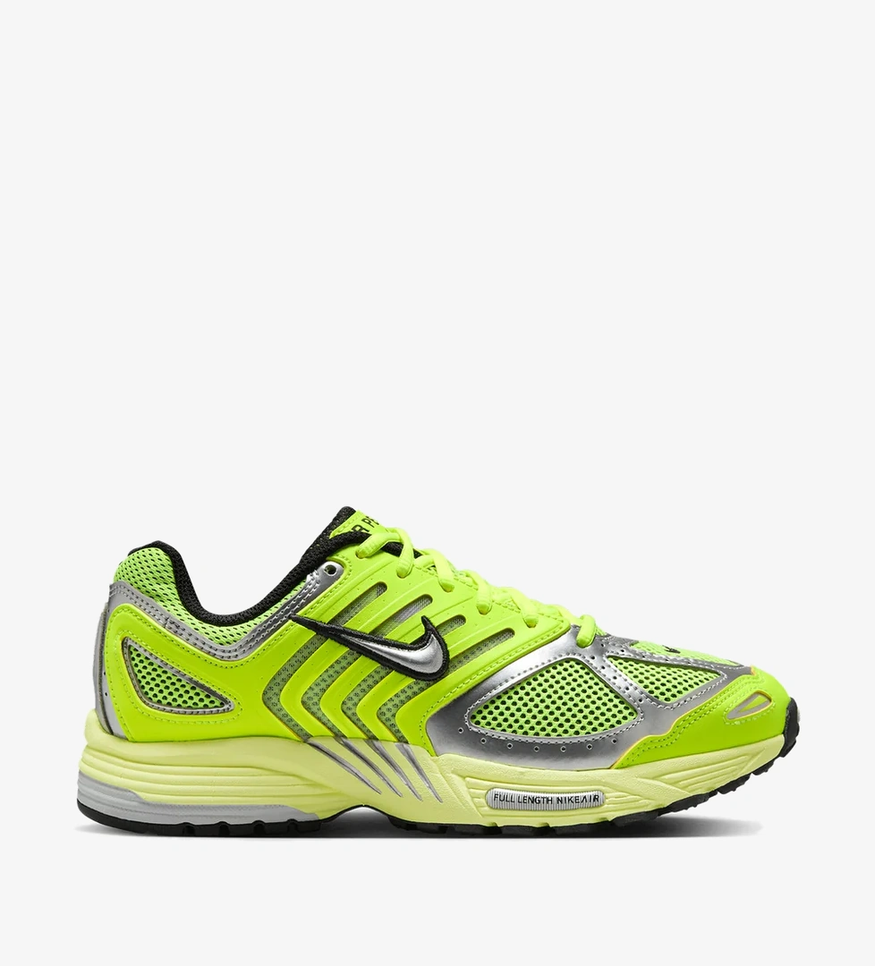 Nike Air Pegasus 2005