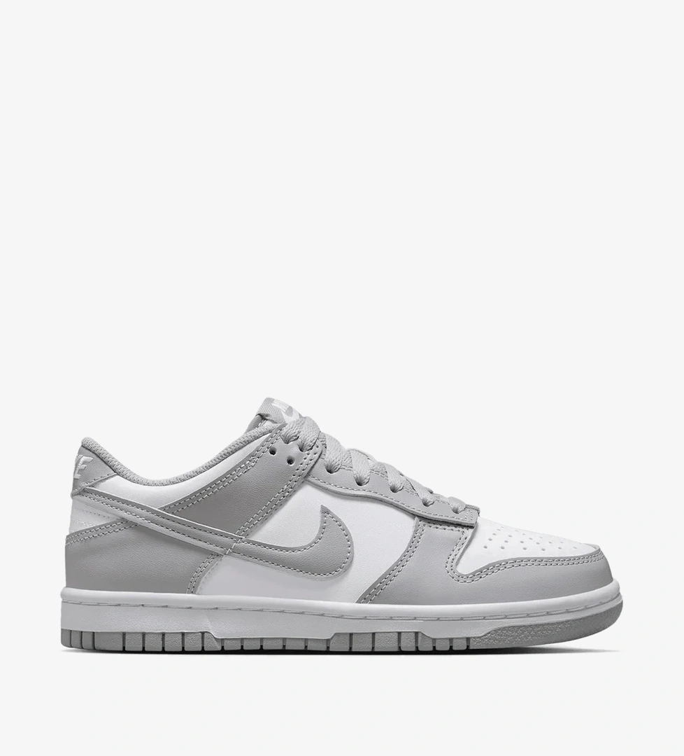 Nike Dunk Low (Gs)