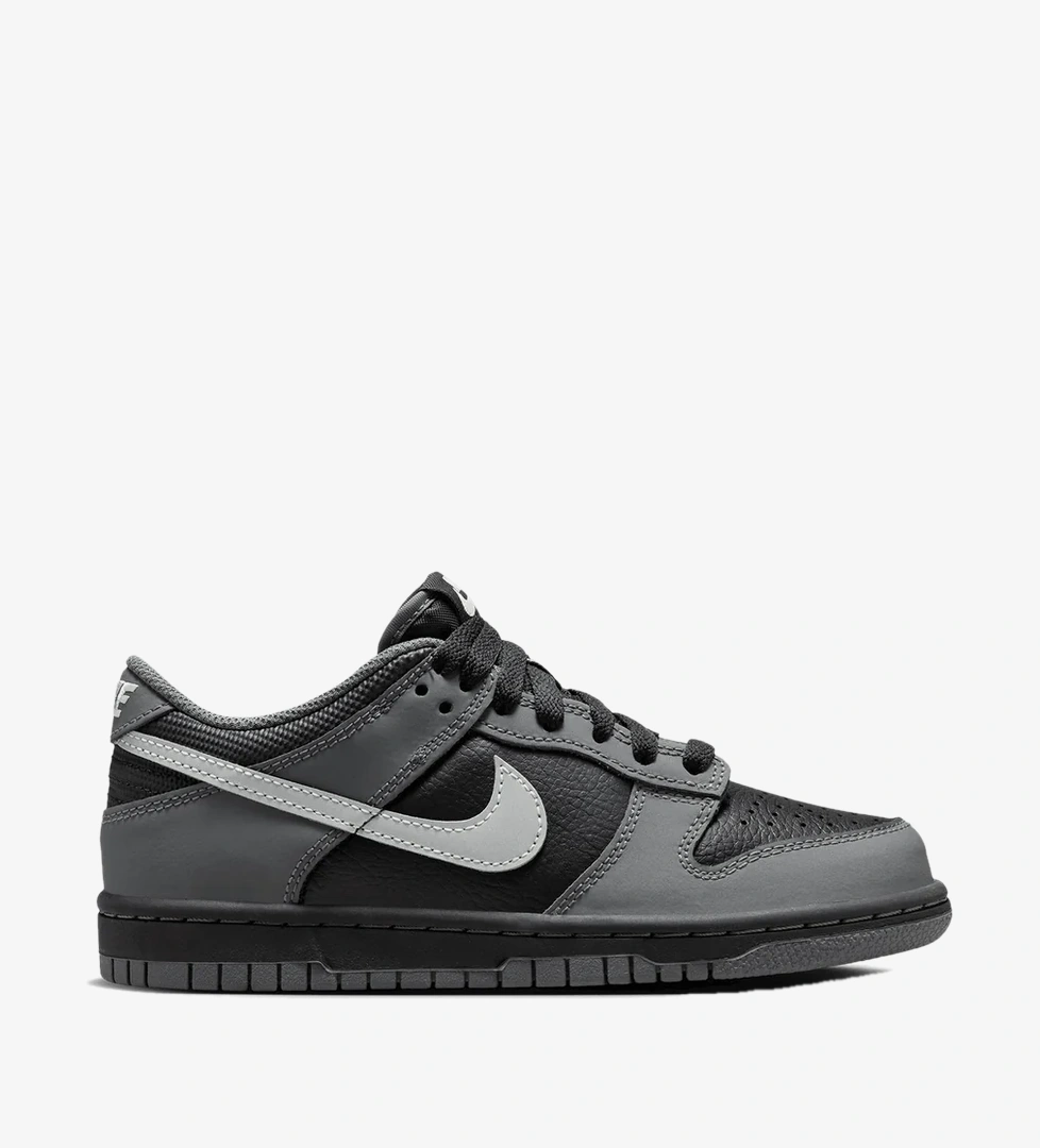Nike Dunk Low (Gs)