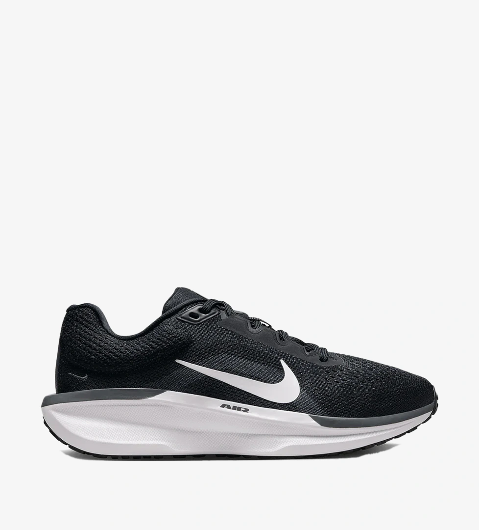 Nike Siyah Nike Air Winflo 11