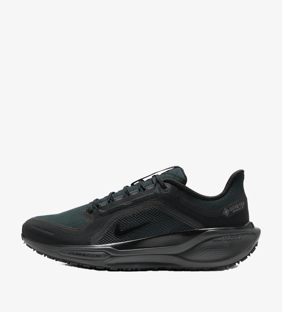 Air Zoom Pegasus 41 GORE-TEX Erkek Koşu Ayakkabısı