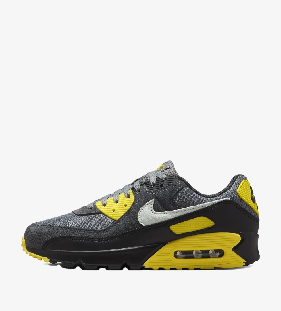 Nike Siyah Nike Air Max 90 Erkek Ayakkabı