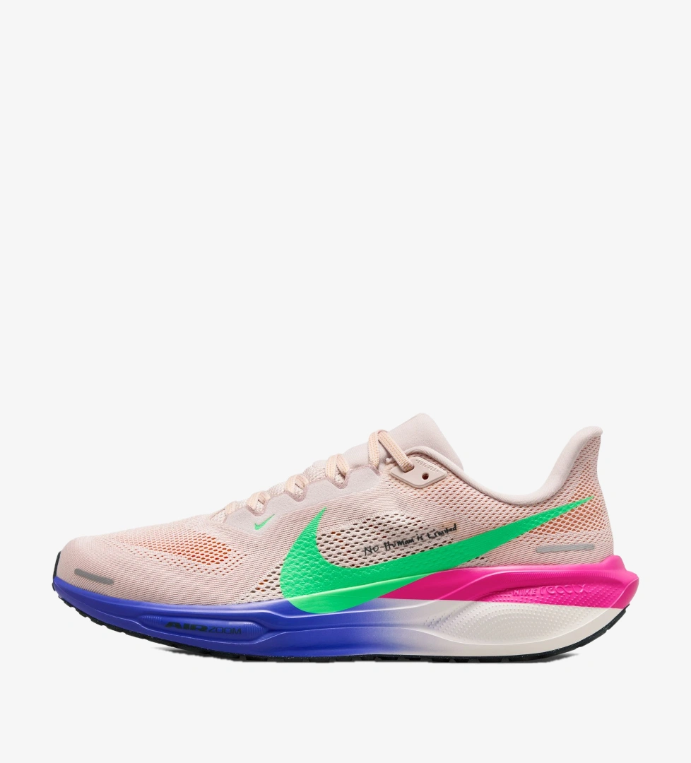 Nike Pegasus Eliud Ürün Listesi