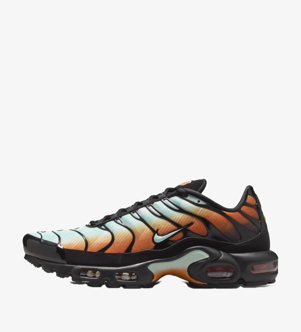 Nike Çok Renkli Nike Air Max Plus