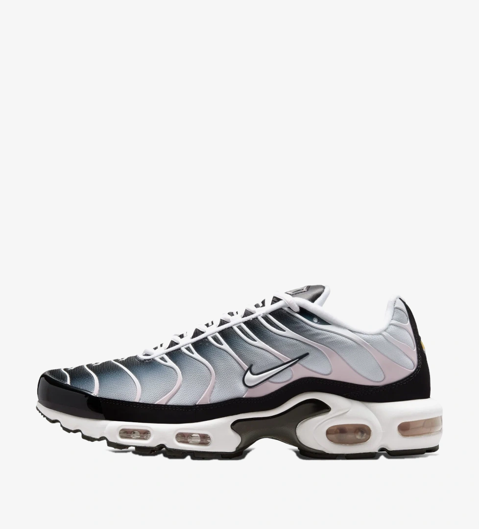 Nike Siyah Nike Air Max Plus