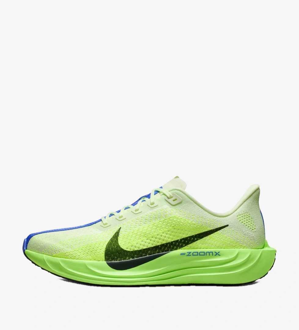 Nike Nike Pegasus