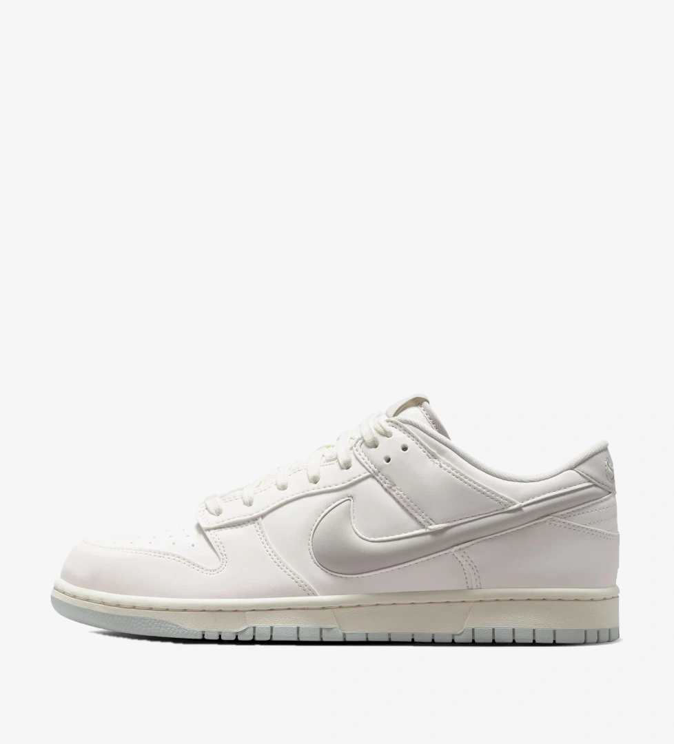 Dunk Low Retro Premium Erkek Sneaker Ayakkabı