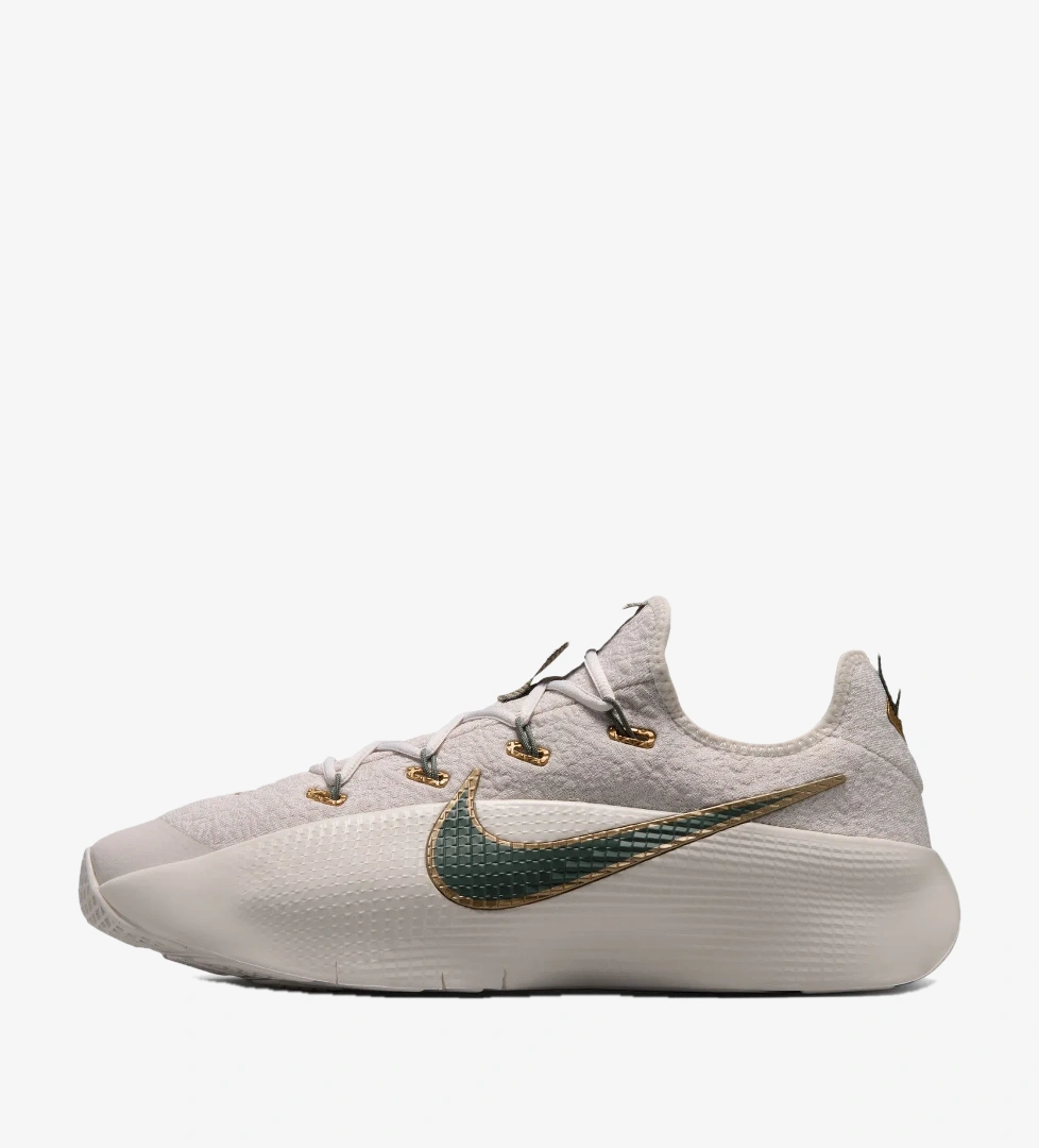Nike Siyah Nike Lebron Tr