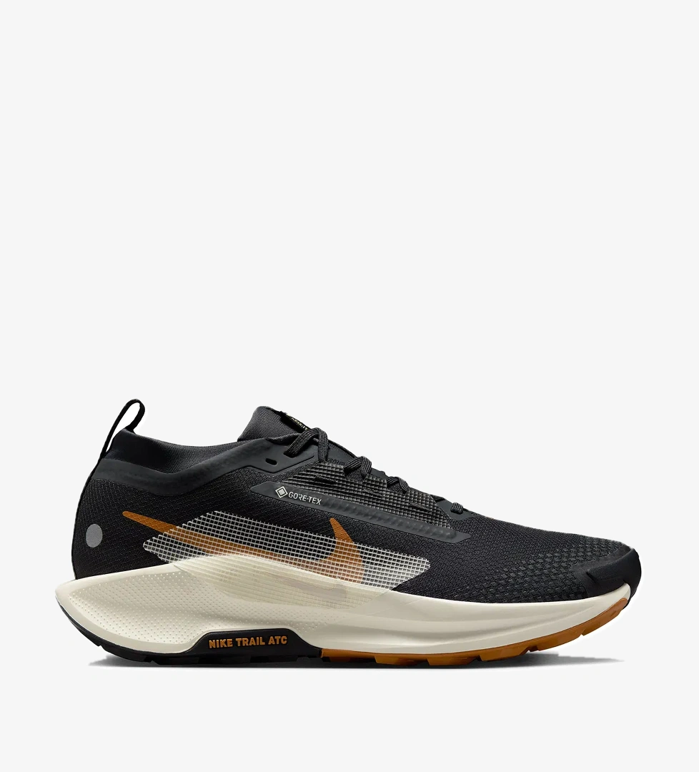 Nike Nike Pegasus Erkek Trail Siyah 5 Koşu Gore-tex Ayakkabısı Fq0908-007 model görseli