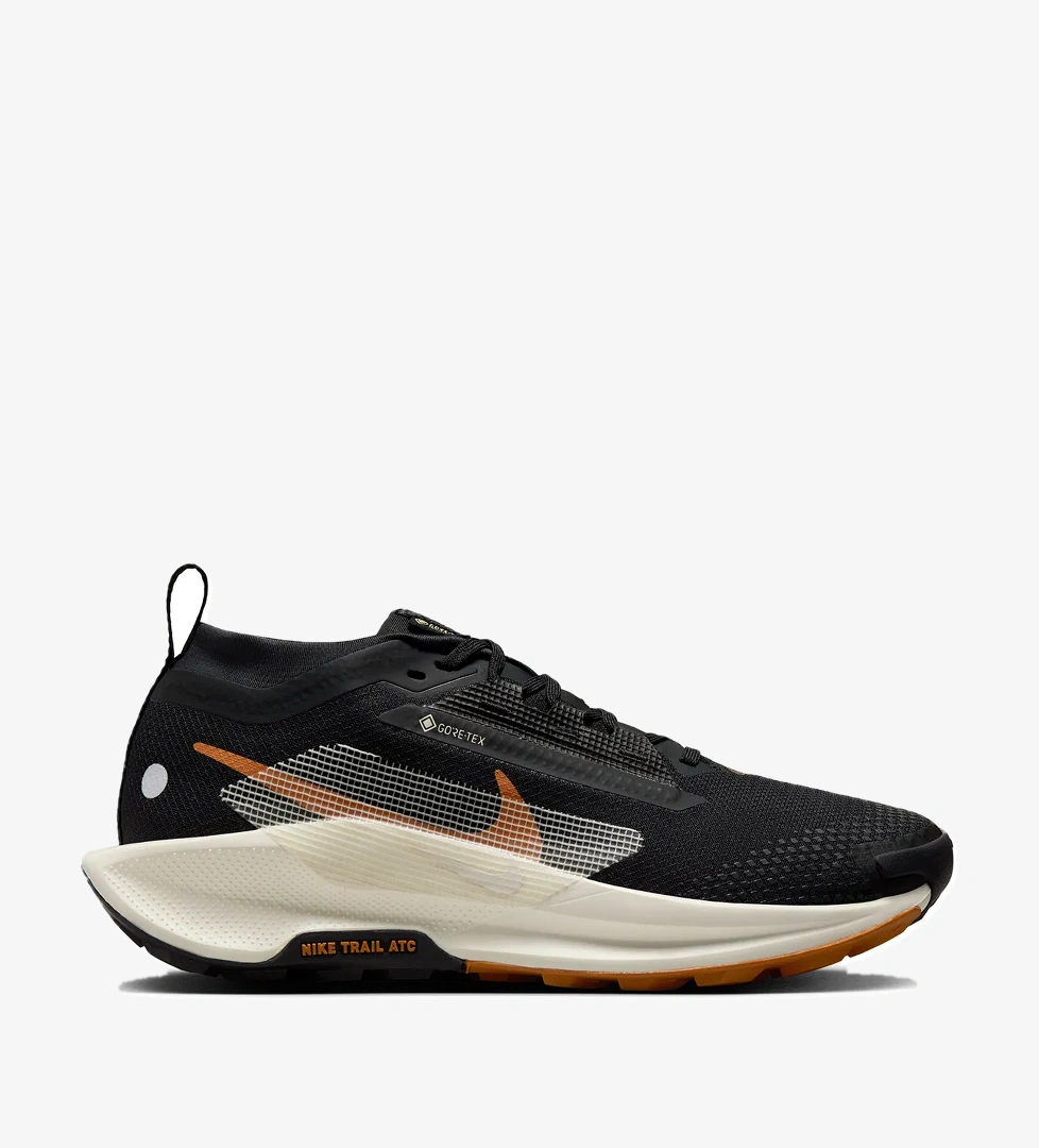 W Pegasus Trail 5 Gore-tex Kadın Siyah Koşu Ayakkabısı FQ0912-005