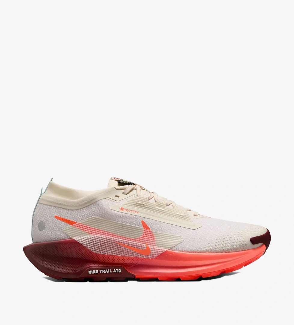 Pegasus Trail 5 Gore-Tex Erkek Bej Koşu Ayakkabısı FQ0908-104