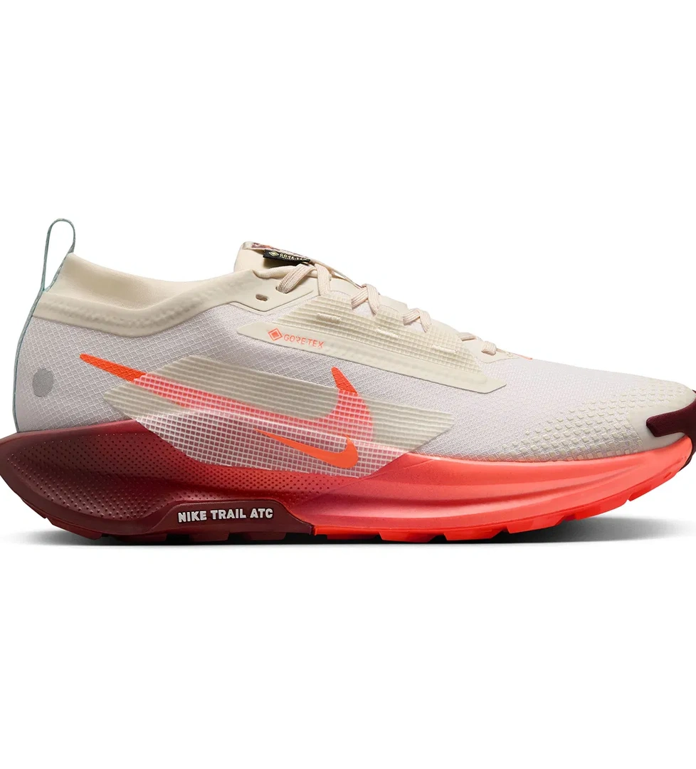 Pegasus Trail 5 Gore-Tex Erkek Bej Koşu Ayakkabısı FQ0908-104