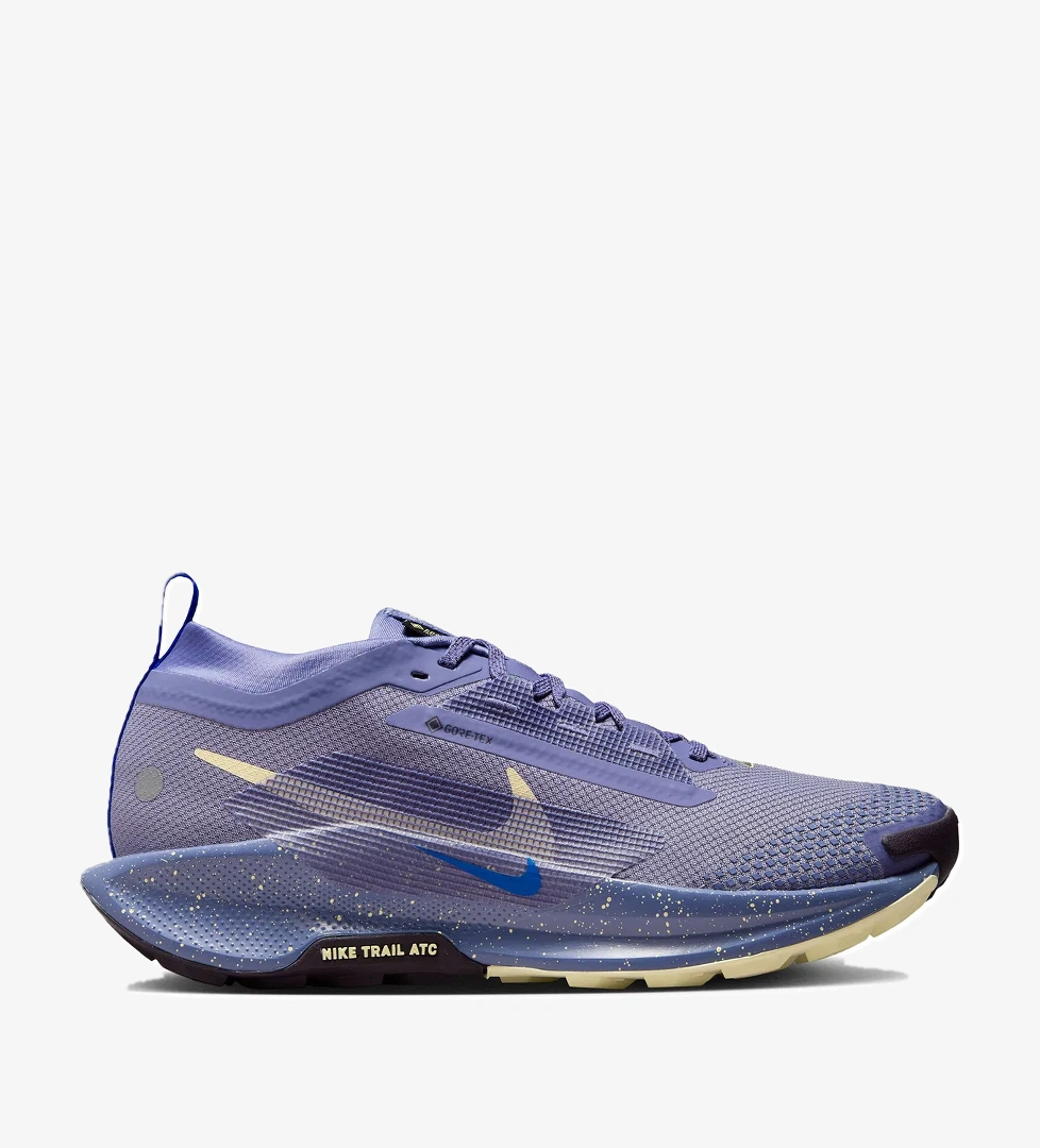 Pegasus Trail 5 Gore-Tex Kadın Mavi Koşu Ayakkabısı FQ0912-402