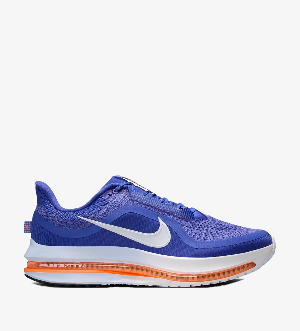 Nike Mavi Nike Pegasus