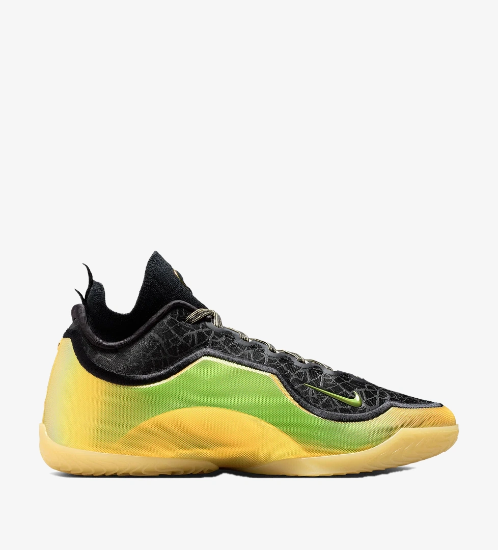 Nike Siyah Nike Lebron 23
