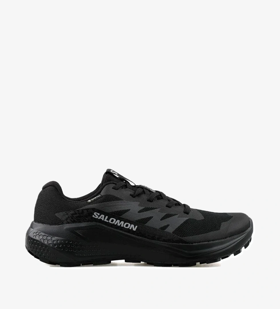 Salomon Siyah Salomon Alphaglide Gore