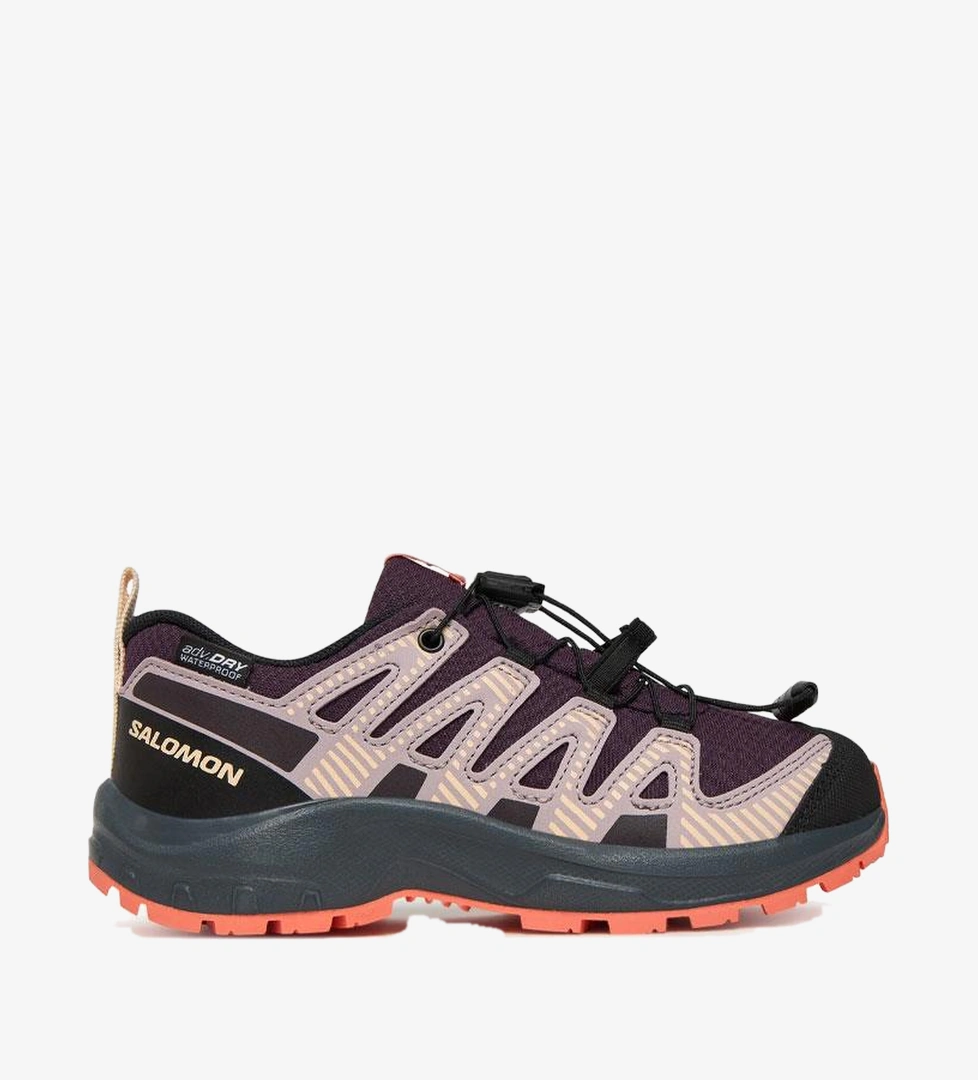 Salomon Mor Salomon Xa Pro V8