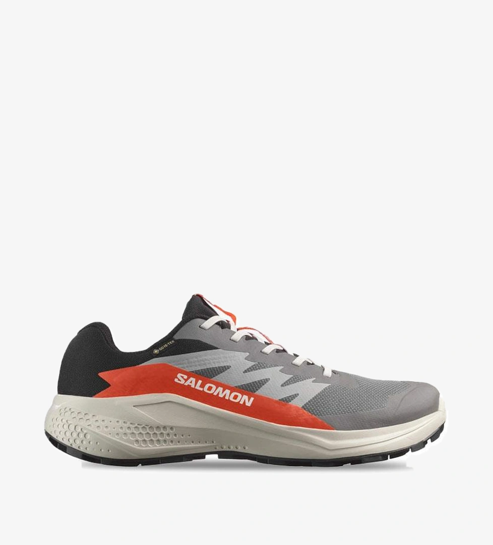 Salomon Gri Salomon Alphaglide Gore Gore-tex
