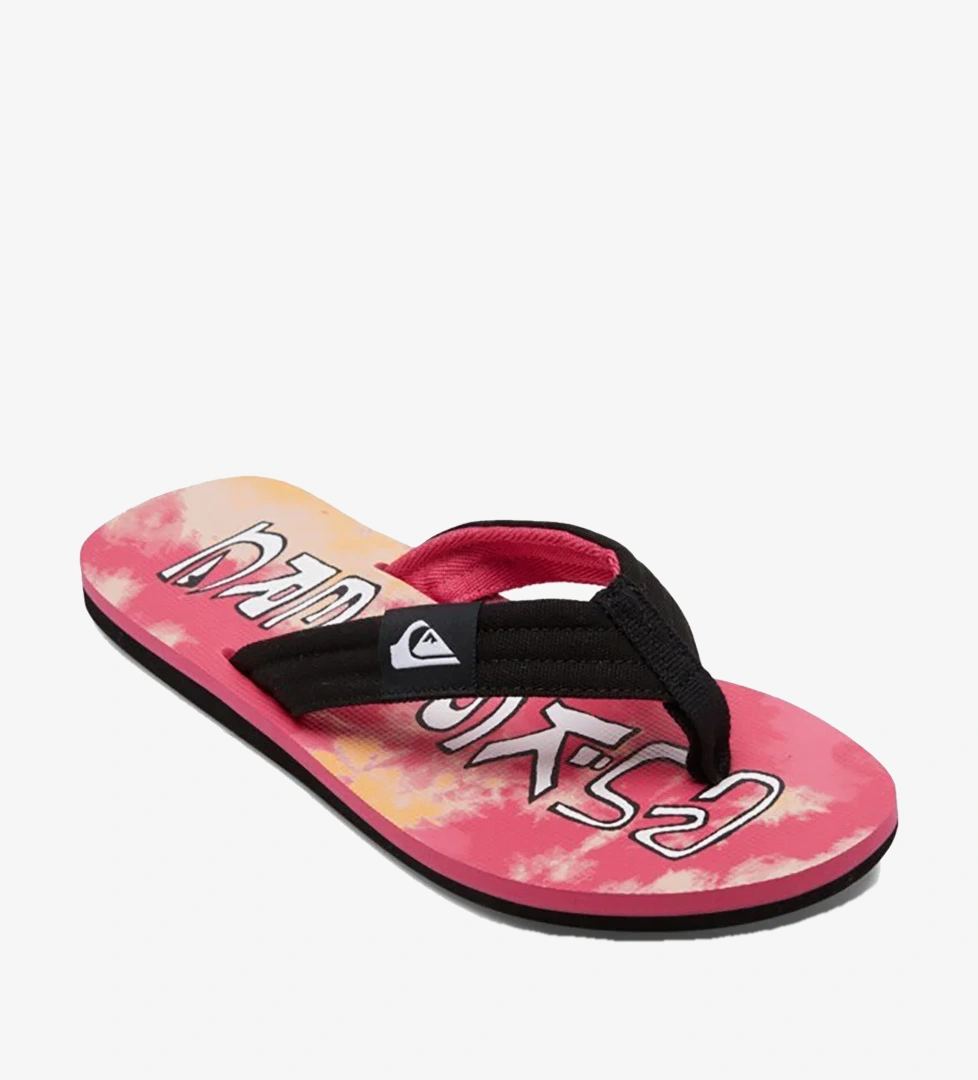 Quiksilver Siyah Quiksilver Molokai Layback