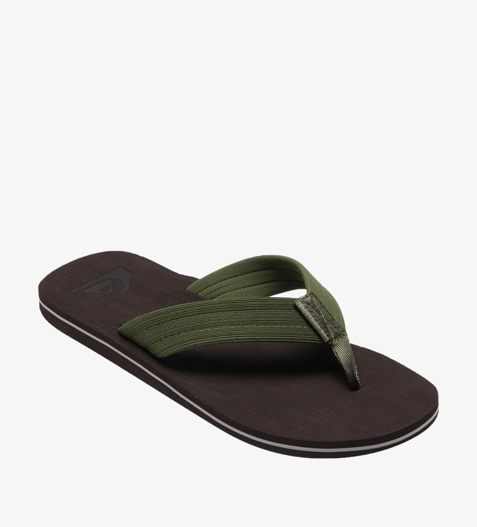 Quiksilver Kahverengi Quiksilver Molokai