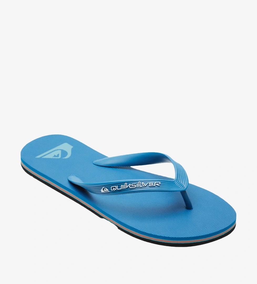 Quiksilver Lacivert Quiksilver Molokai