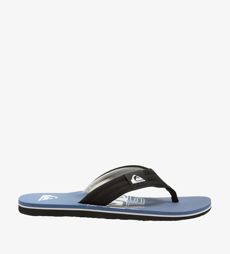Quiksilver Mavi Quiksilver Molokai Layback