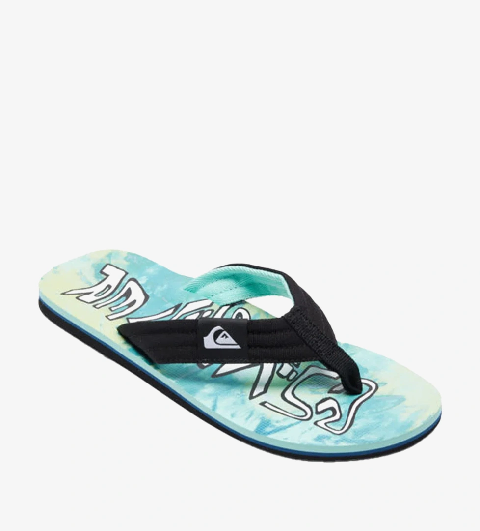 Quiksilver Yeşil Quiksilver Molokai Layback