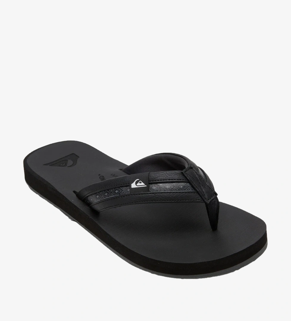 Quiksilver Quiksilver Carver Squish