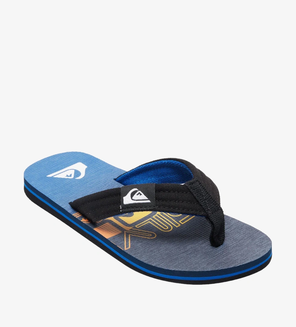 Quiksilver Lacivert Quiksilver Molokai Layback