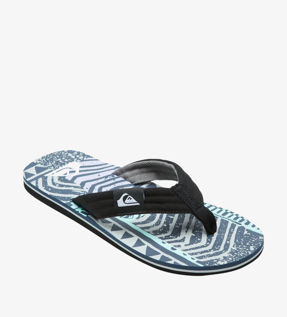 Quiksilver Renkli Quiksilver Molokai Layback