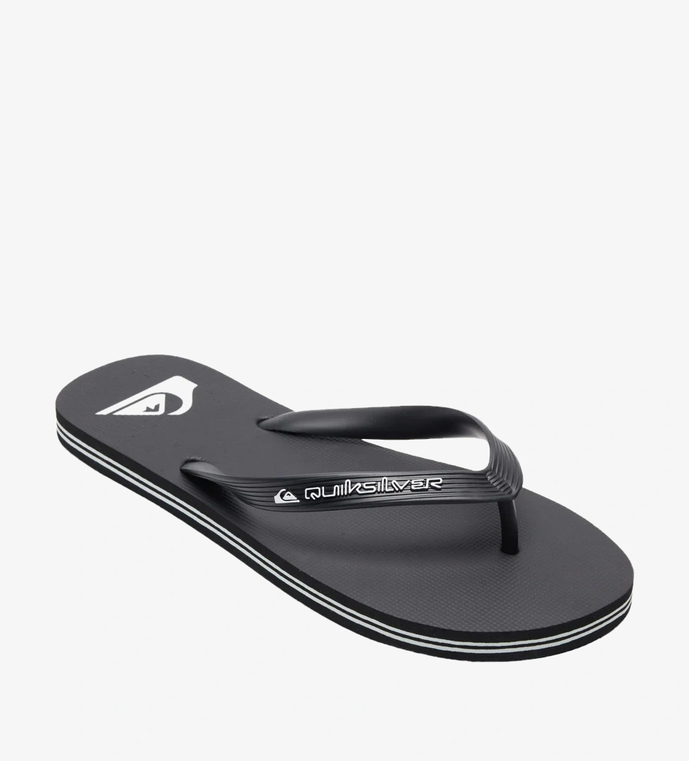 Quiksilver Siyah Quiksilver Molokai Core