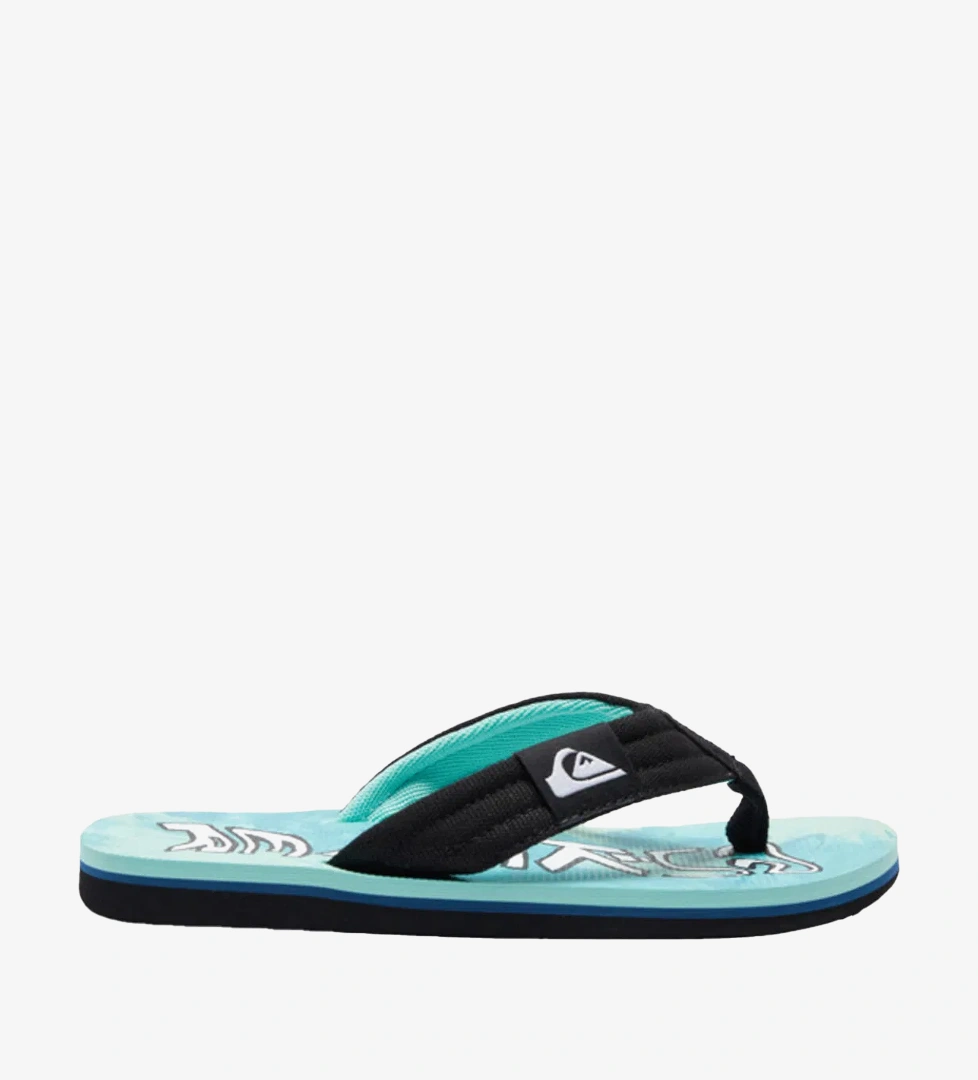 Quiksilver Yeşil Quiksilver Molokai Layback