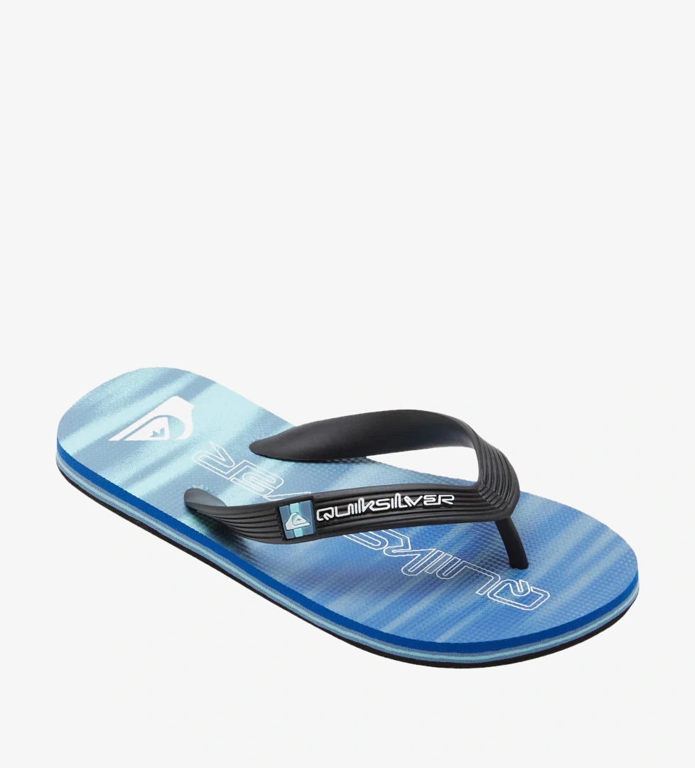Quiksilver Lacivert Quiksilver Molokai Art
