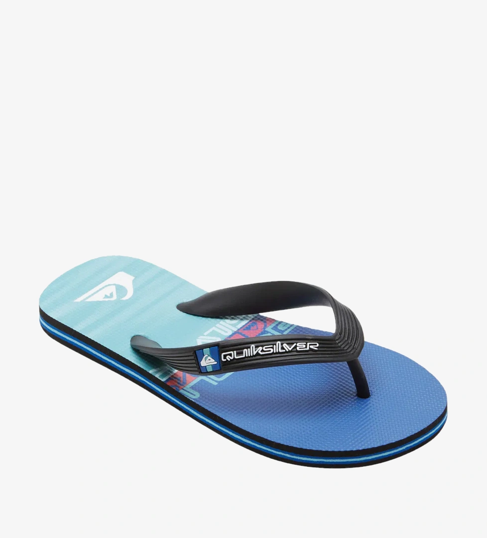 Quiksilver Sarı Quiksilver Molokai Art