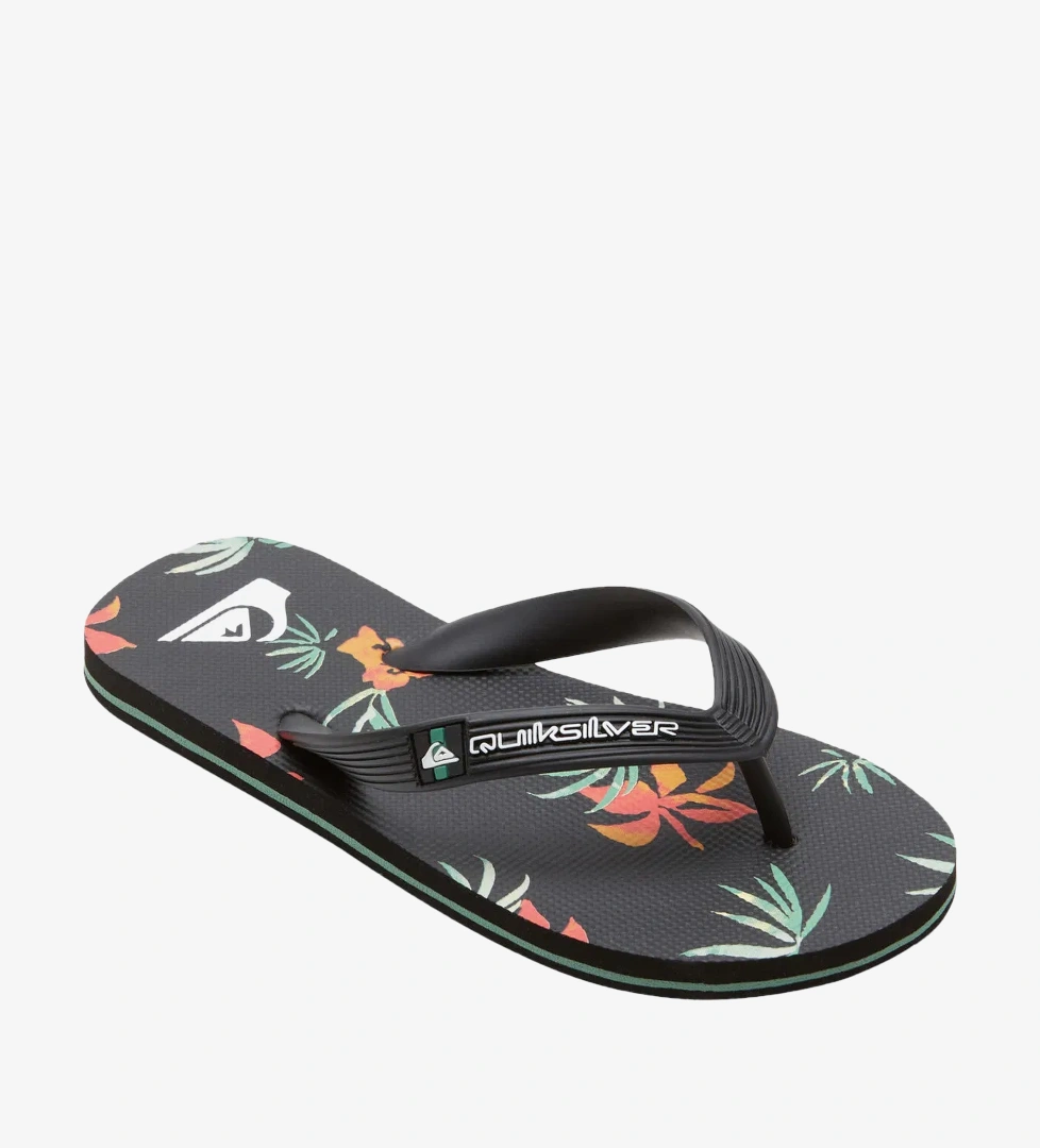 Quiksilver Bordo Quiksilver Molokai Art