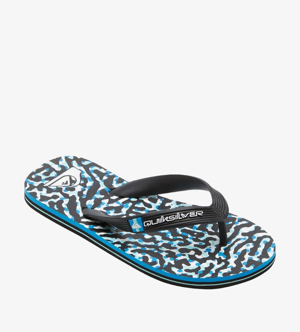 Quiksilver Black Whıte Blue Quiksilver Molokai Art
