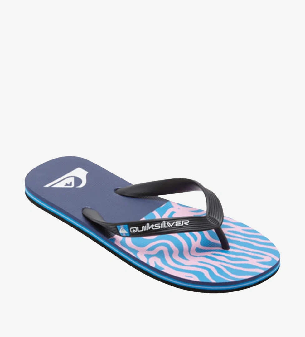 Quiksilver Black Blue Pınk Quiksilver Molokai Art