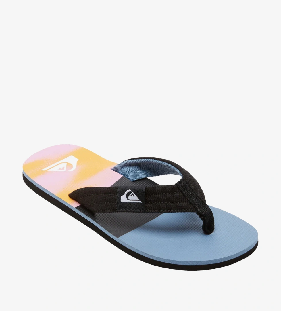Quiksilver Çok Renkli Quiksilver Molokai Layback