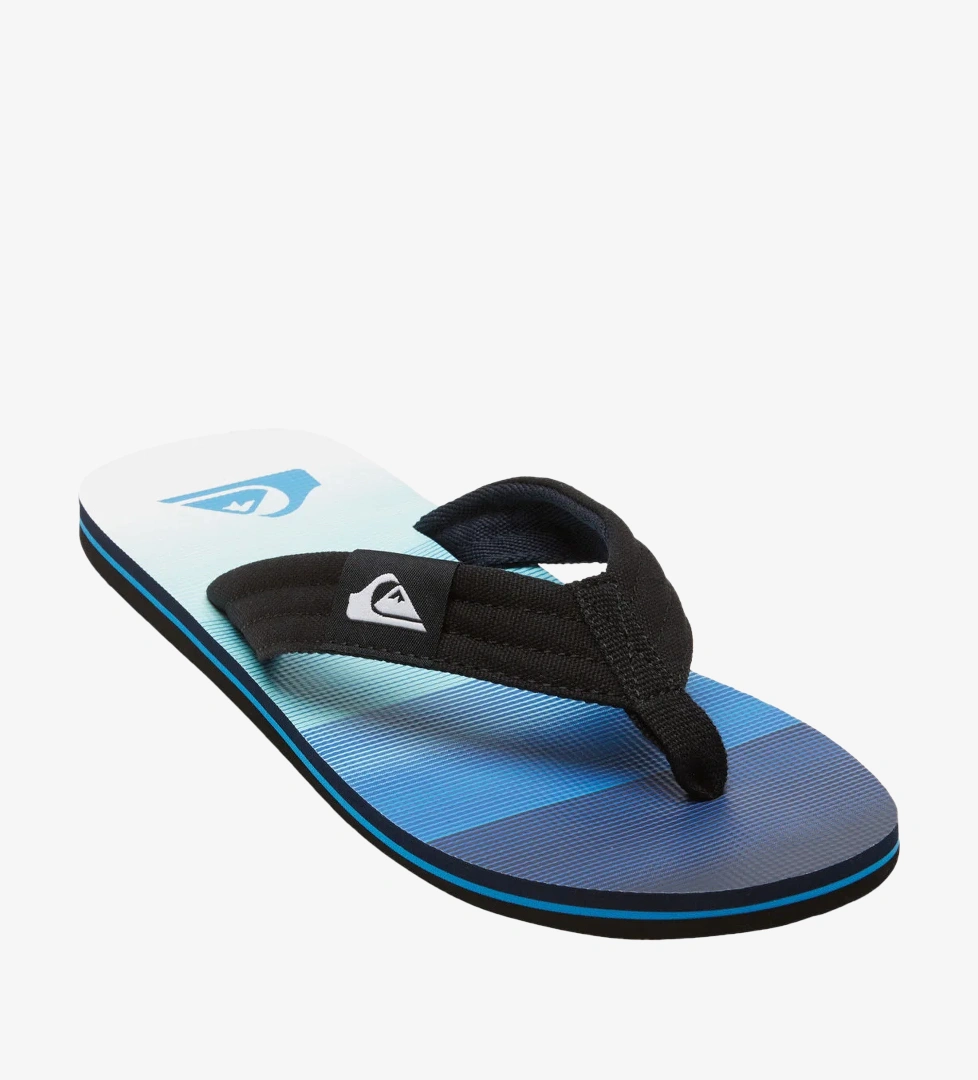 Quiksilver Lacivert Quiksilver Molokai Layback
