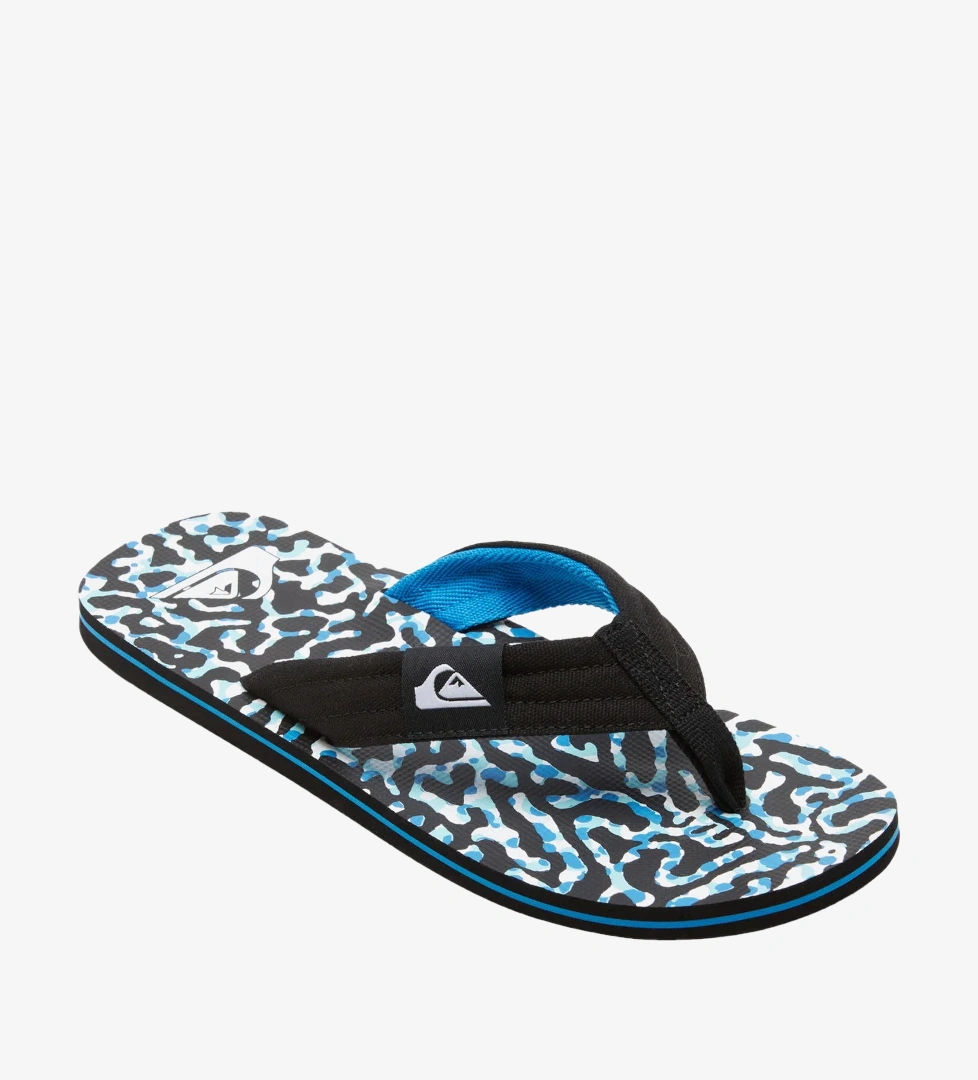 Quiksilver Çok Renkli Quiksilver Molokai Layback