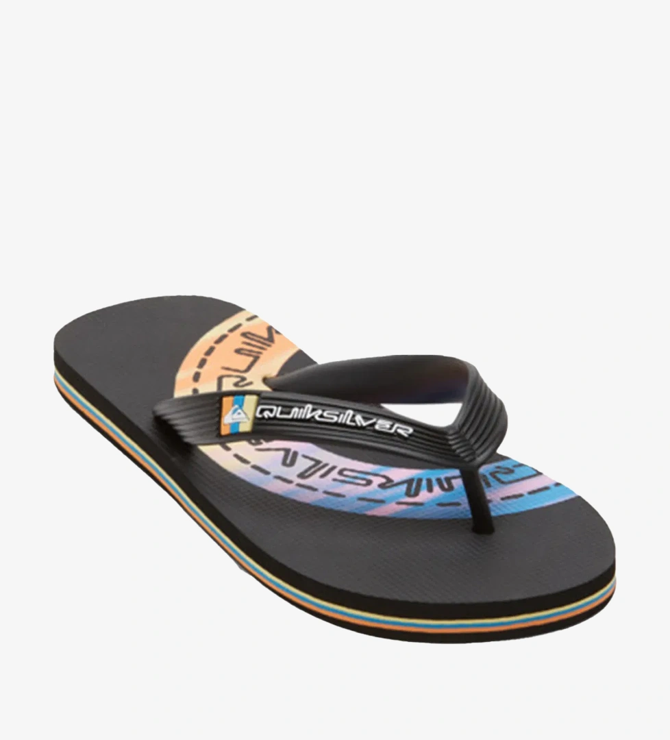 Quiksilver Siyah Quiksilver Molokai Art