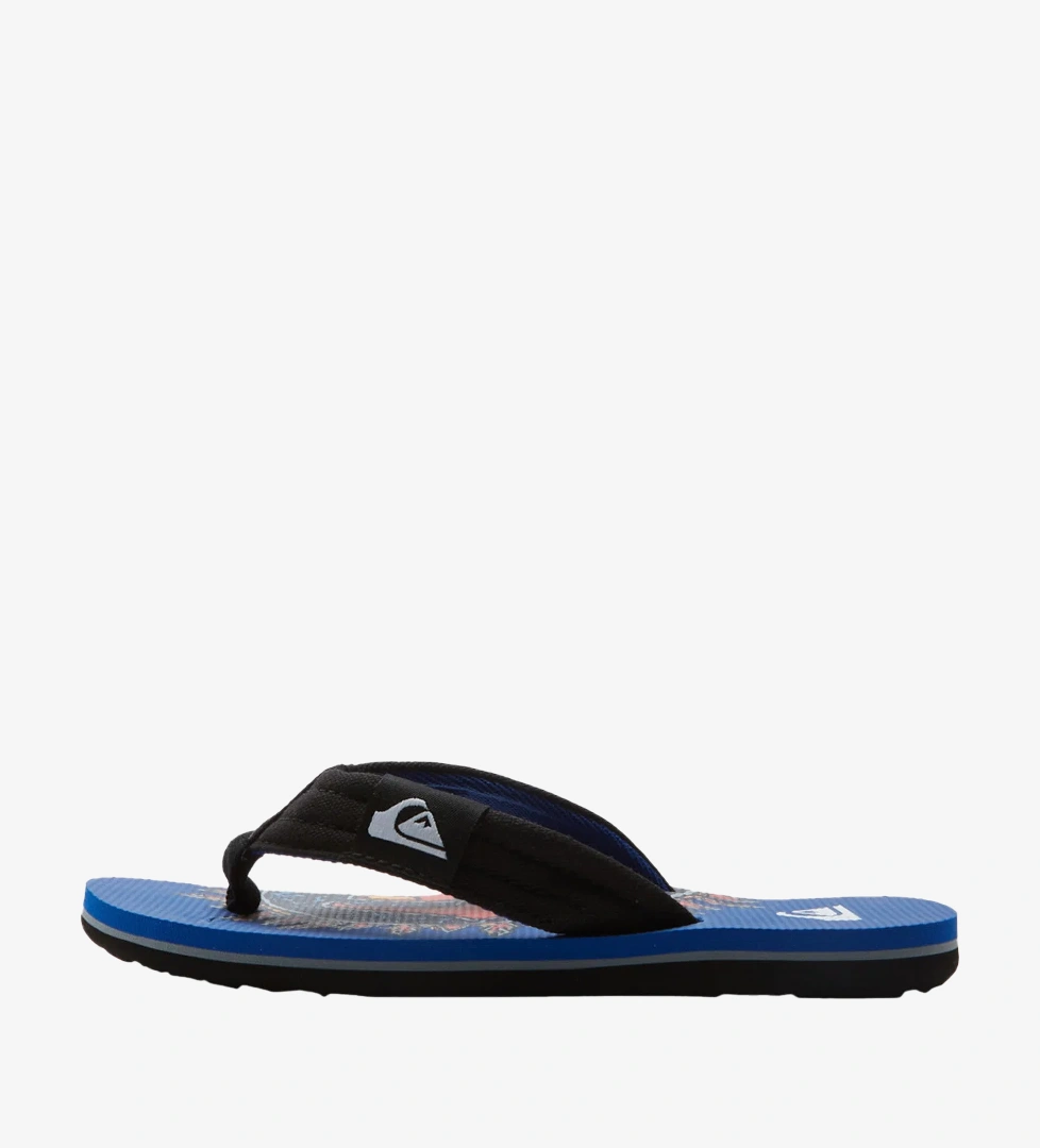 Quiksilver Renkli Quiksilver Molokai Layback
