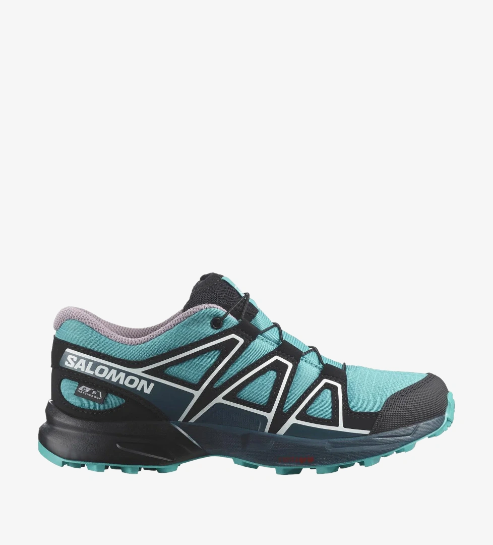 Salomon Turkuaz Salomon Speedcross Climasalomon