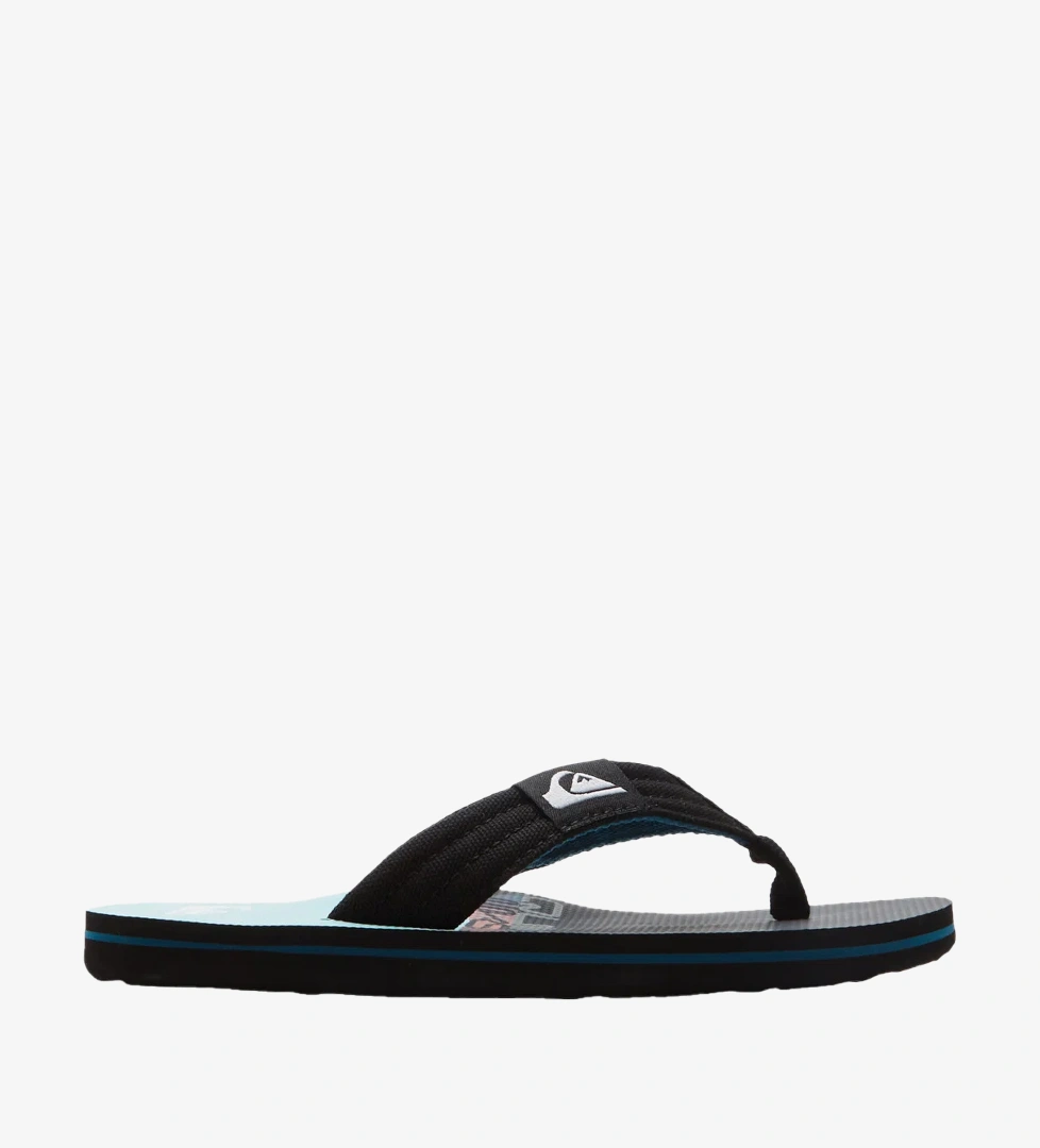 Quiksilver Renkli Quiksilver Molokai Layback