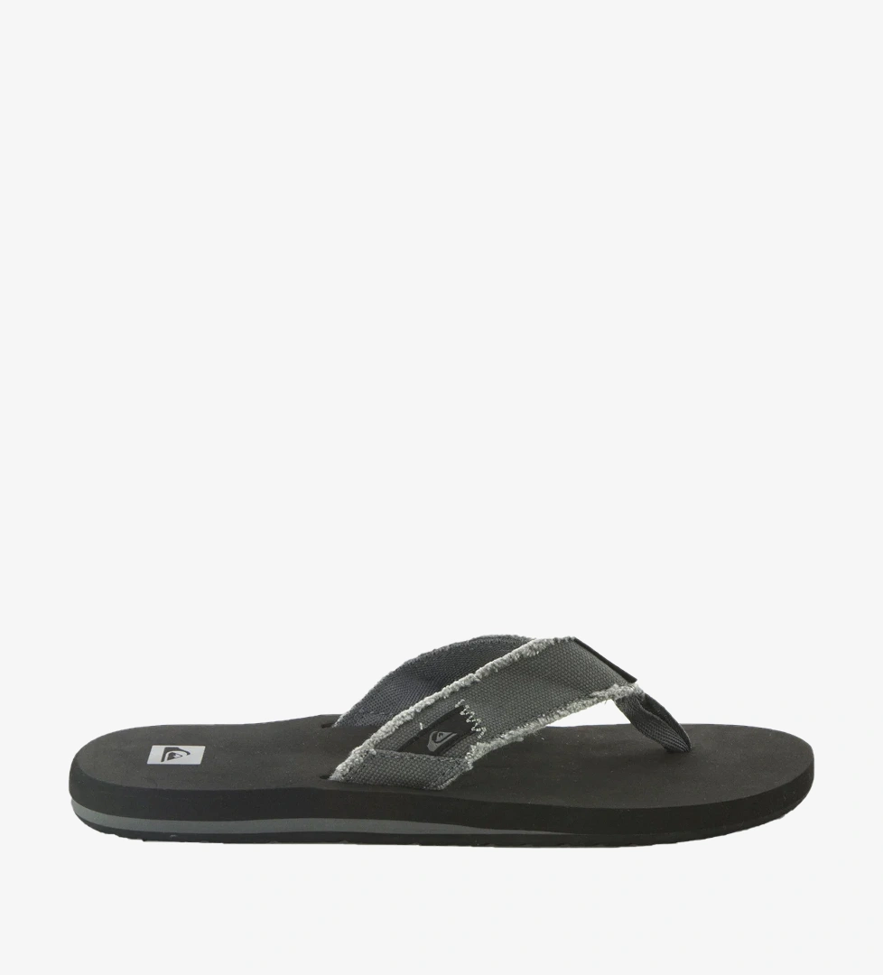 Quiksilver Bordo Quiksilver Monkey