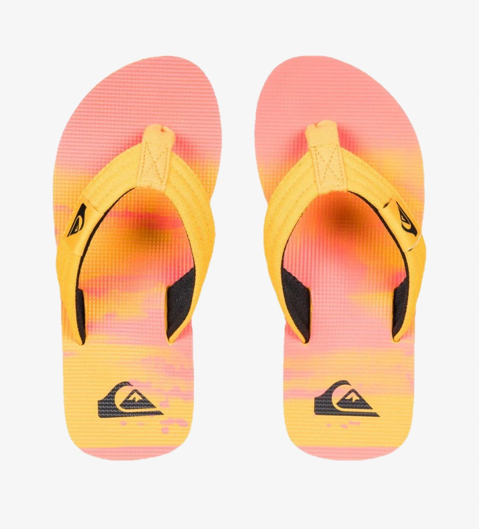 Quiksilver Renkli Quiksilver Molokai Layback