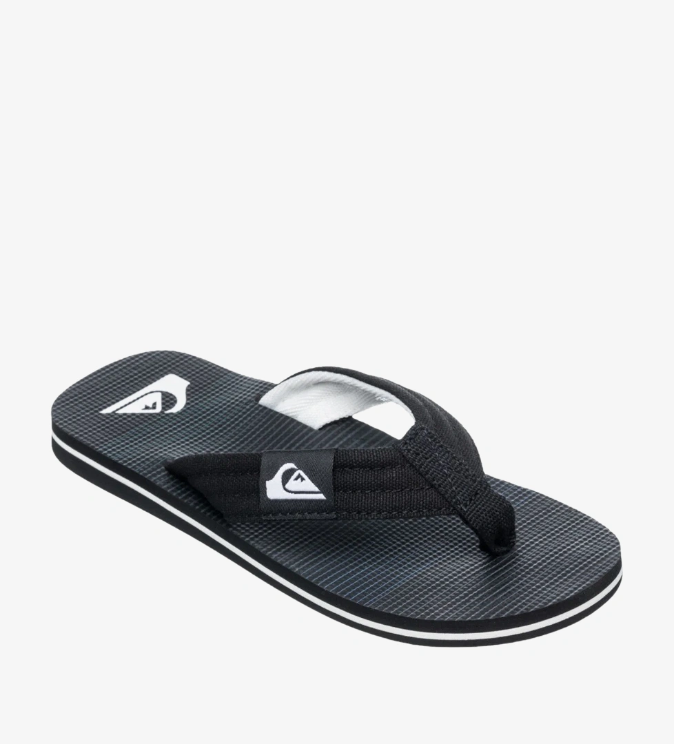 Quiksilver Renkli Quiksilver Molokai Layback