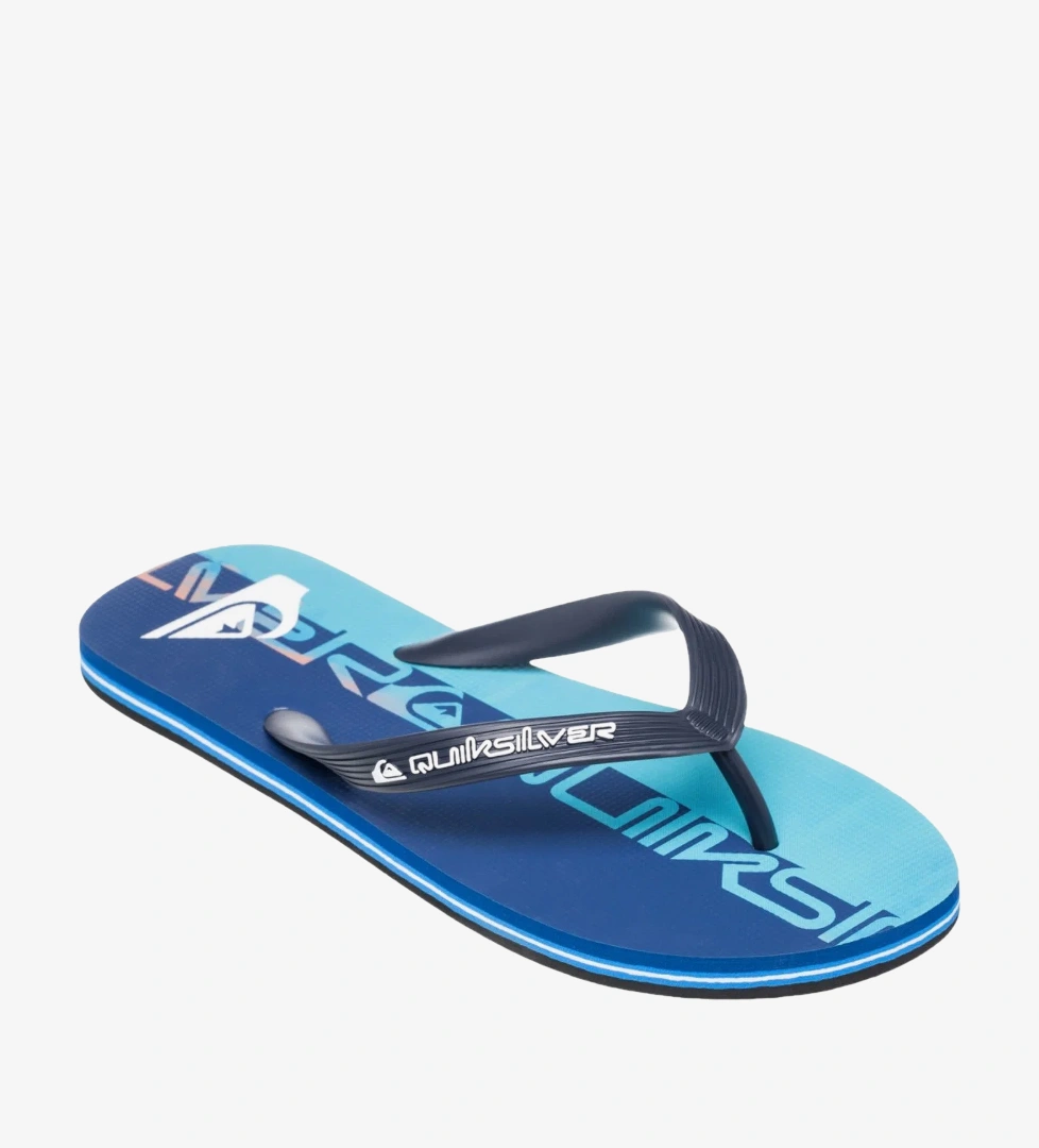 Quiksilver Renkli Quiksilver Molokai Art