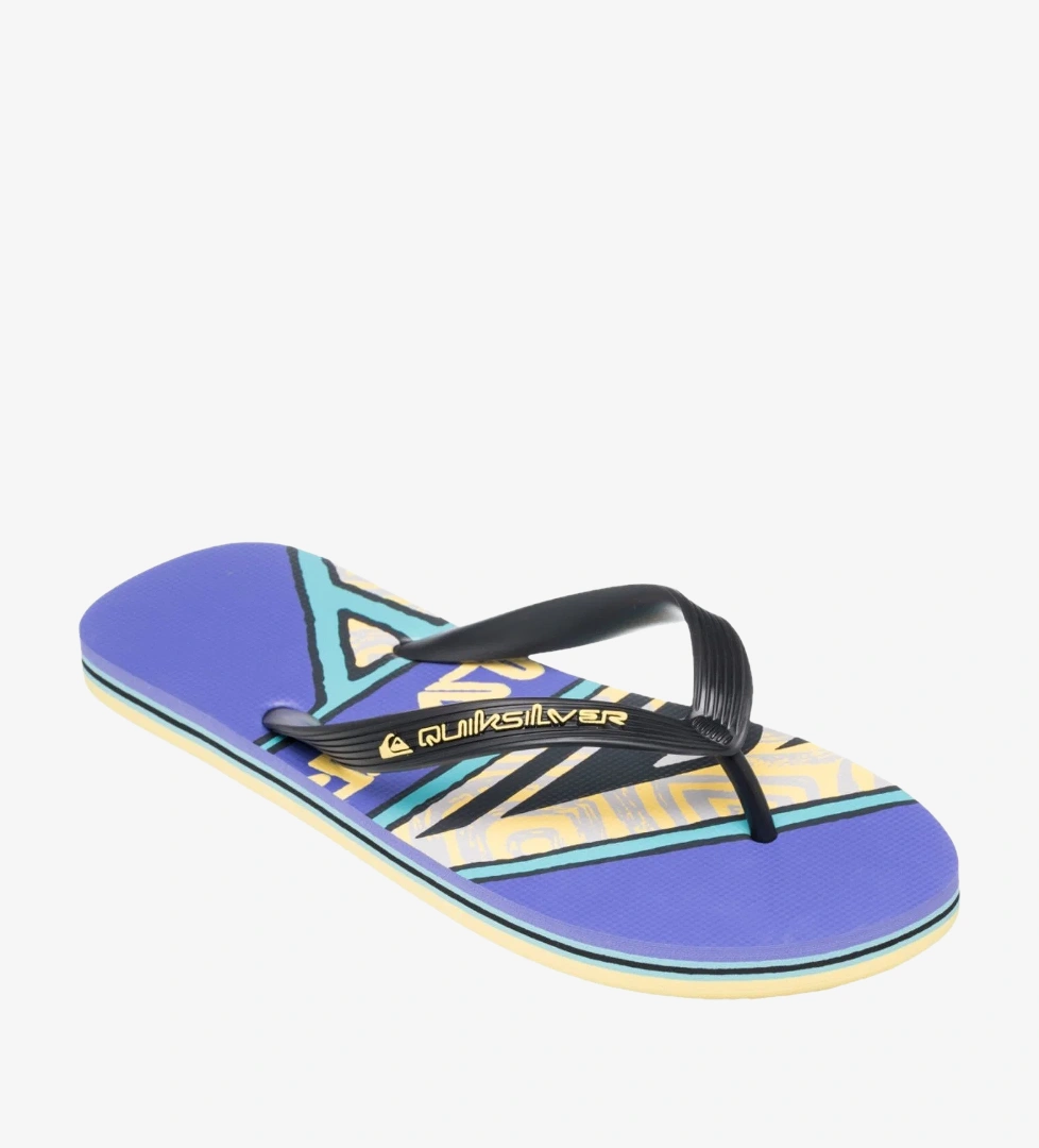 Quiksilver Renkli Quiksilver Molokai